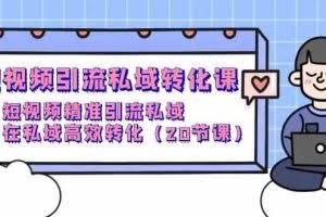 (9926期)短视频引流 私域转化课,短视频精准引流私域,在私域高效转化(20节课)
