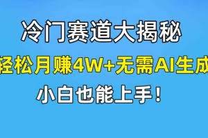 (9949期)快手无脑搬运冷门赛道视频“仅6个作品 涨粉6万”轻松月赚4W+
