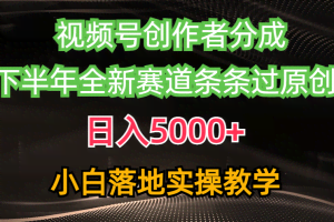 (10294期)视频号创作者分成最新玩法,日入5000+ 下半年全新赛道条条过原创,小…