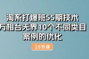 （10996期）淘系打爆班55期技术：万相台无界10个不同类目案例的优化（10节）