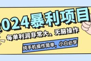 （12130期）2024暴利项目，每单利润非常大，无脑操作，纯手机操作简单，小白必学项目