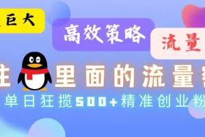 (13068期)流量蓝海,抓住QQ里面的流量密码!高效策略,单日狂揽500+精准创业粉