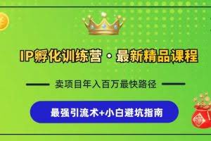 (13055期)IP孵化训练营,知识付费全流程+最强引流术+小白避坑指南