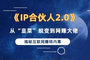 (13030期)2024如何通过”知识付费“卖项目年入”百万“卖项目合伙人IP孵化训练营