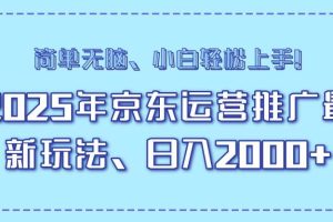 （14179期）25年京东运营推广最新玩法，日入2000+，小白轻松上手！