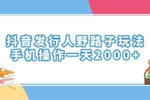 （14041期）抖音发行人野路子玩法，手机操作一天2000+
