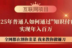 （14466期）【网创项目终点站-镰刀训练营超级IP合伙人】25年普通人如何通过“知识…