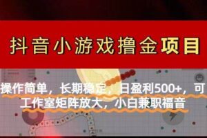 （14290期）【抖音小游戏发行人计划项目】操作简单，长期稳定，日盈利500+，可工作…