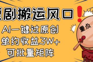 （14282期）2025短剧搬运风口！复制粘贴AI一键过原创，单月收益3W+，新手可矩阵放…