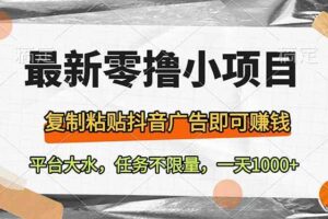 （14230期）最新零撸小项目，复制粘贴抖音广告即可赚钱，平台大水，任务不限量，一…