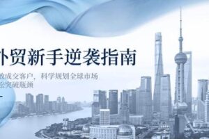 （14201期）外贸新手逆袭指南：高效成交客户，科学规划全球市场，轻松突破瓶颈