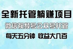 (14425期)全新托管躺赚项目,微信视频号公众号托管代运营,每天五分钟,收益大几百
