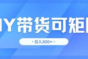 (14414期)DY带货,日入300+矩阵无上限