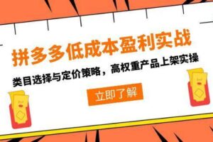 （15143期）拼多多低成本盈利实战，类目选择与定价策略，高权重产品上架实操