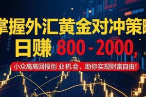 （15198期）掌握外汇黄金对冲策略，日赚 800 – 2000，小众高回报创业机会，助你实…