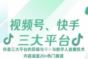 （15449期）视频号、快手、抖音三大平台的剪辑与数字人直播技术，内容涵盖20+热门赛道
