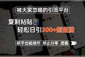 （15428期）被大家忽略的引流平台，复制粘贴轻松日引300+创业粉，新手也能操作，禁…