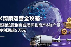 （16179期）TK跨境运营全攻略：从基础设置到商业闭环到低成本量产，月净利润超5万美元