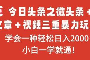 （16556期）今日头条之微头条＋文章＋视频三重暴力玩法，学会一种轻松日入2000＋，…