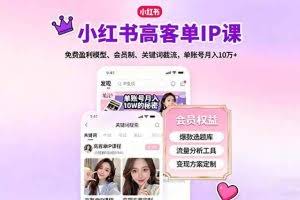（16295期）小红书高客单IP课，免费盈利模型、会员制、关键词截流，单账号月入10万+
