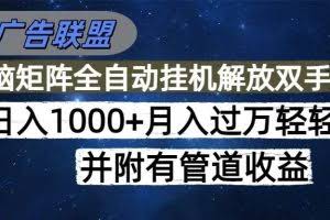 （16208期）海外广告联盟每天几分钟日入1000+无脑操作，可矩阵并附有管道收益